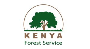 Kakamega-Forest-Marathon-Partners-11