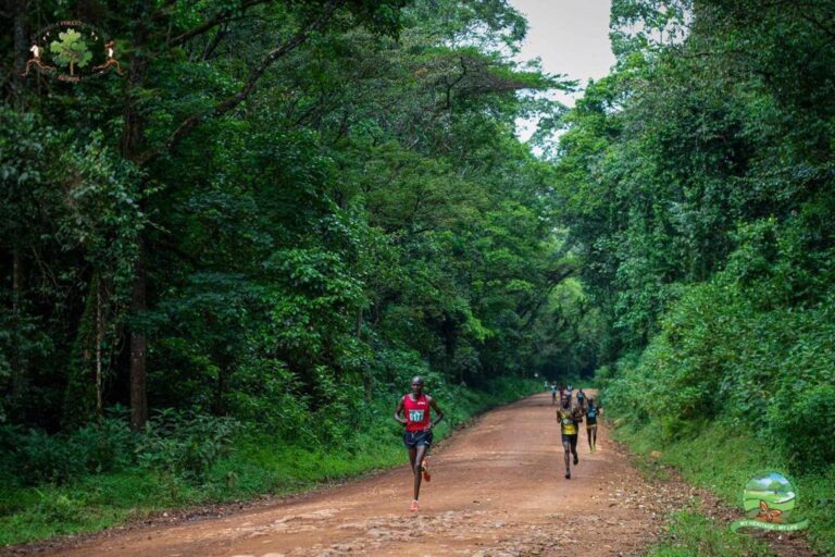 The Kakamega Forest Heritage Foundation