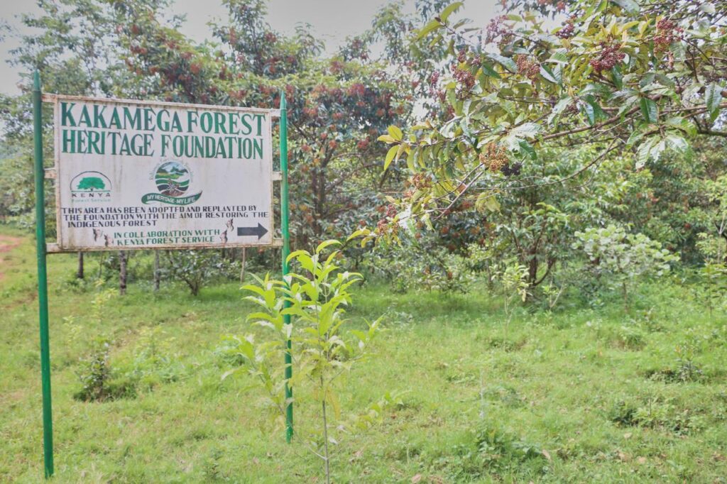 The Kakamega Forest Heritage Foundation sign post in the forest