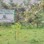 The Kakamega Forest Heritage Foundation sign post in the forest